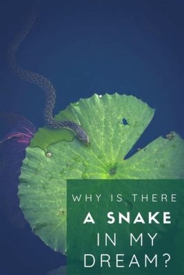  The Snake That Slithered into Dreams: 꿈에 서서히 기어들게 된 뱀 이야기는 무엇일까요?